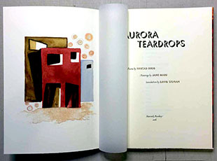 Aurora Teardrops book