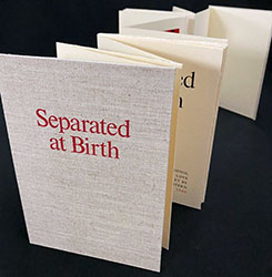 Separated at Birth book