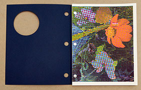 One Hundred Excellent Flowers book