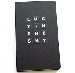 Lucy in the Sky book