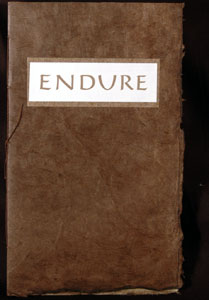 Endure book