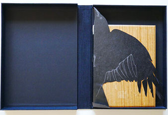 Beautiful Horrific book