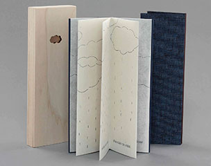 Mist Cloud Rain book