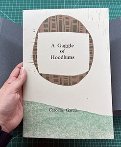 A Gaggle of Hoodlum book